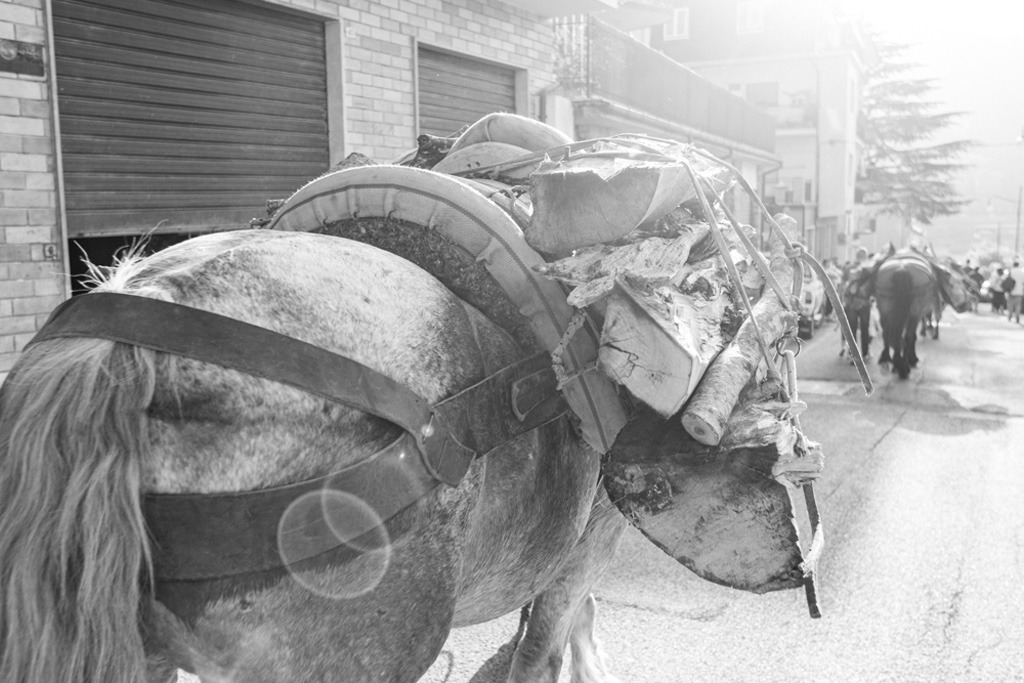 Fotografie scattate durante la Festa Patronale di Sant’Antonio a Scanno, in provincia de L’Aquila, perla incastonata nelle Valle del Sagittario, e più noto come il Borgo dei Fotografi. Tra gli eventi, la caratteristica “Processione dei muli e delle travi” e quella a cui prendono parte tutti i bambini: “Processione delle pagnottelle e delle travi” con i cestini pieni di rose.