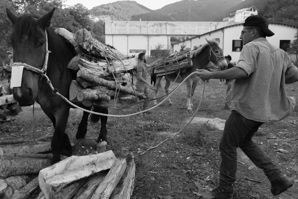 Fotografie scattate durante la Festa Patronale di Sant’Antonio a Scanno, in provincia de L’Aquila, perla incastonata nelle Valle del Sagittario, e più noto come il Borgo dei Fotografi. Tra gli eventi, la caratteristica “Processione dei muli e delle travi” e quella a cui prendono parte tutti i bambini: “Processione delle pagnottelle e delle travi” con i cestini pieni di rose.