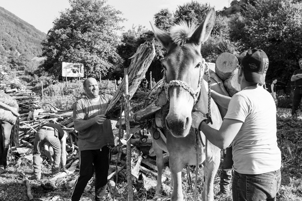 Fotografie scattate durante la Festa Patronale di Sant’Antonio a Scanno, in provincia de L’Aquila, perla incastonata nelle Valle del Sagittario, e più noto come il Borgo dei Fotografi. Tra gli eventi, la caratteristica “Processione dei muli e delle travi” e quella a cui prendono parte tutti i bambini: “Processione delle pagnottelle e delle travi” con i cestini pieni di rose.
